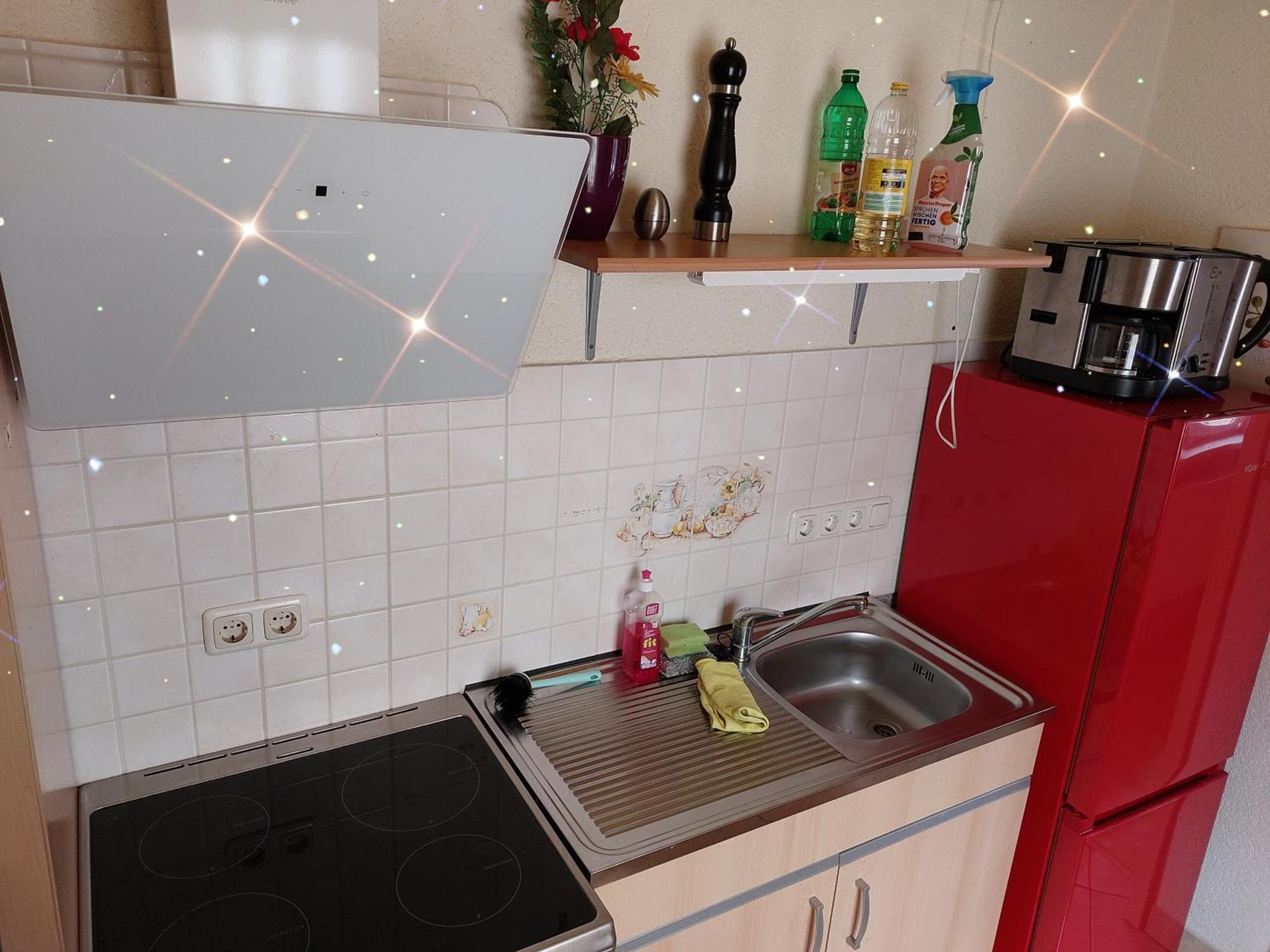 Landhauswohnung Am Thueringer Meer - Fuehlen Wie Zuhause Remptendorf Экстерьер фото